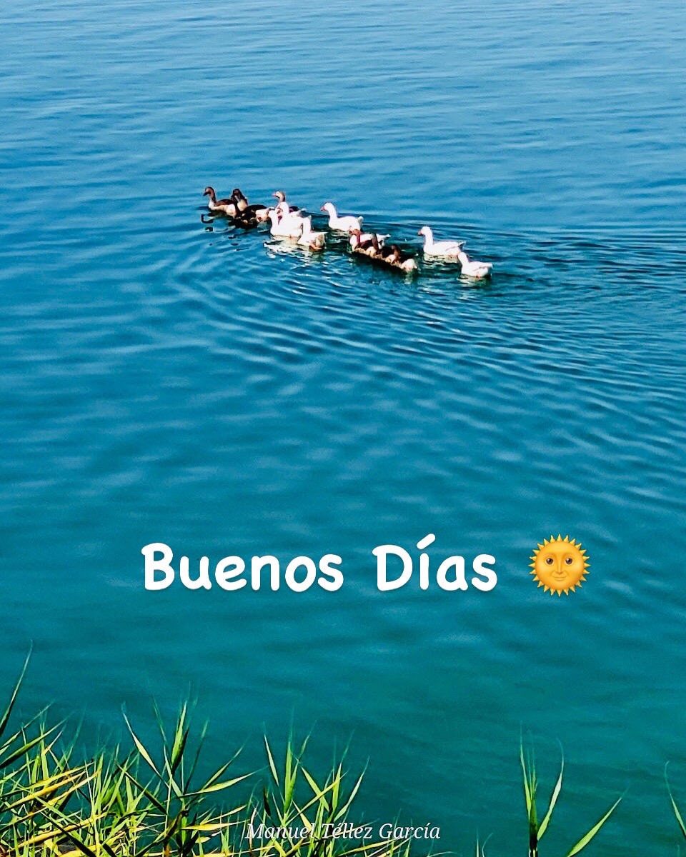 @brujiarcos