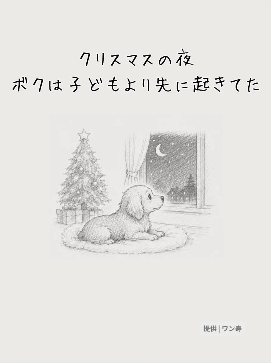 @ワン寿 | taro