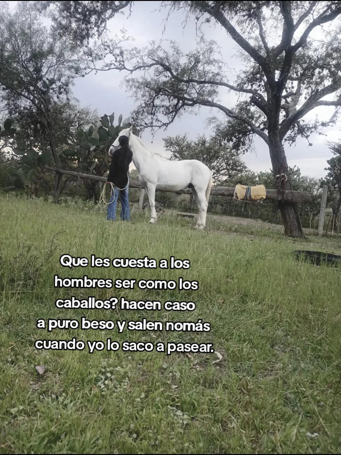 @M.R🤪