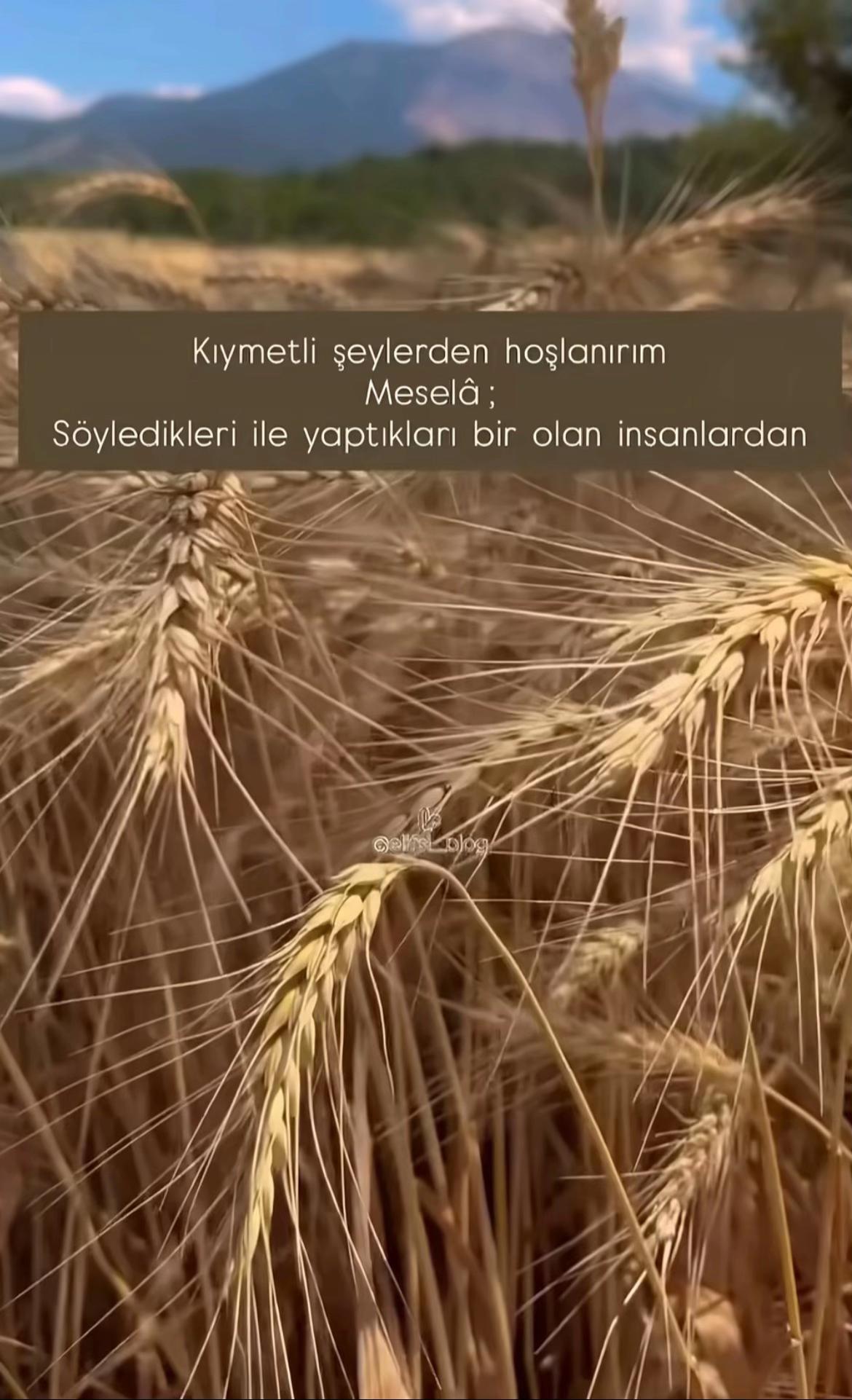 @VEYSEL KARAKAŞ