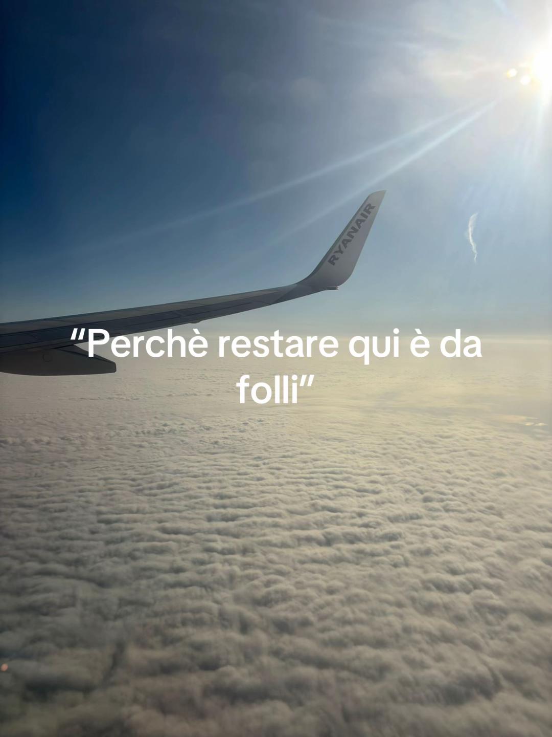 @aisha camerani