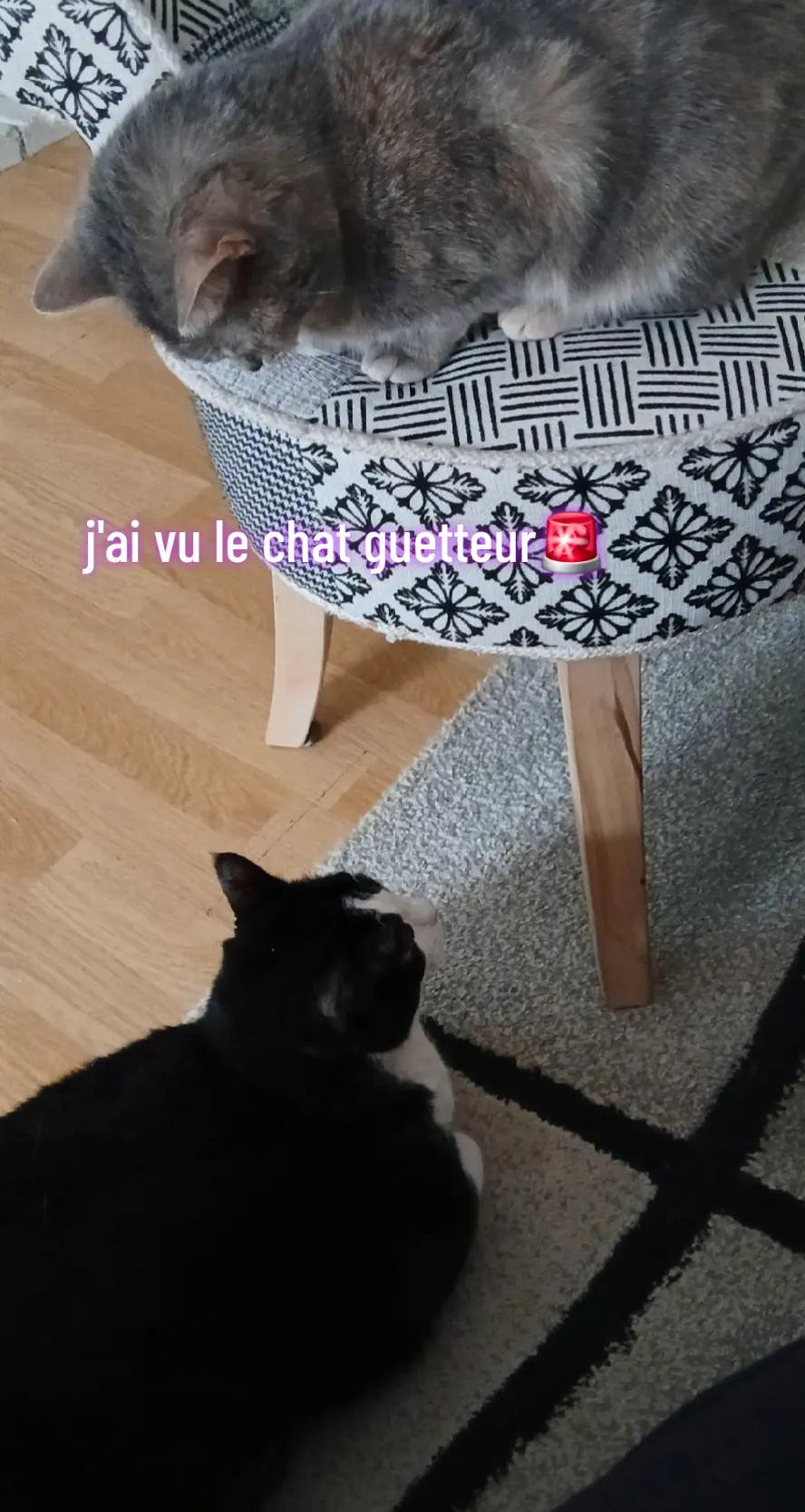 @jemnifw