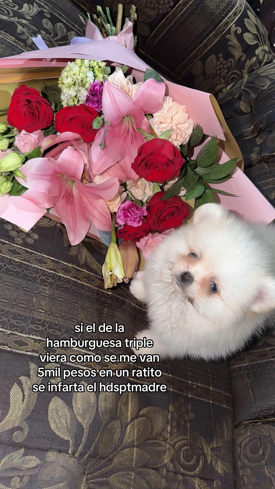 @Paola❤️🍒