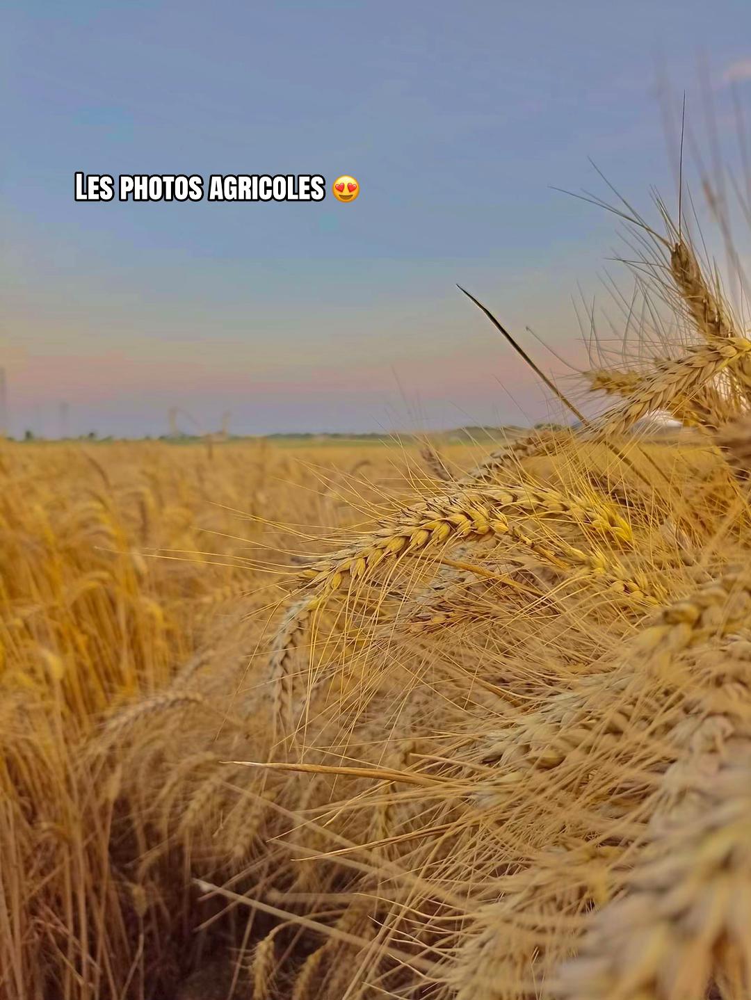 @B🅰️PT 🌾🚜