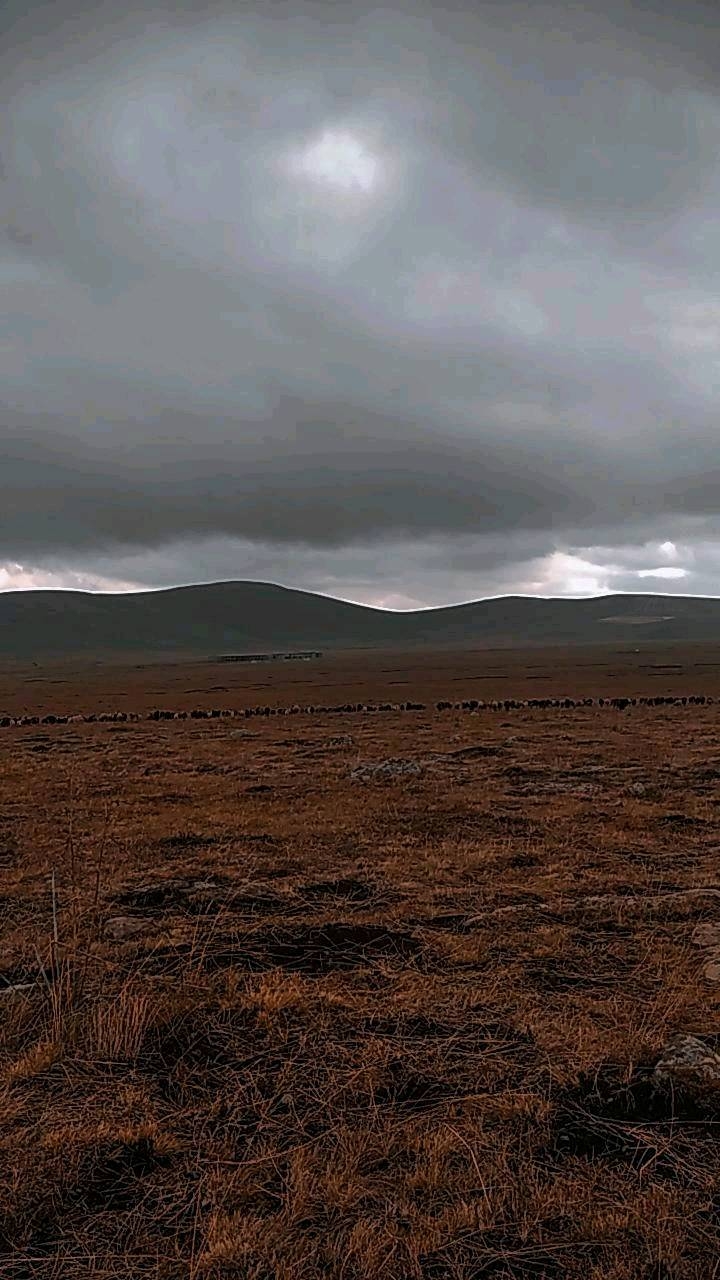 @Volkan_yulali