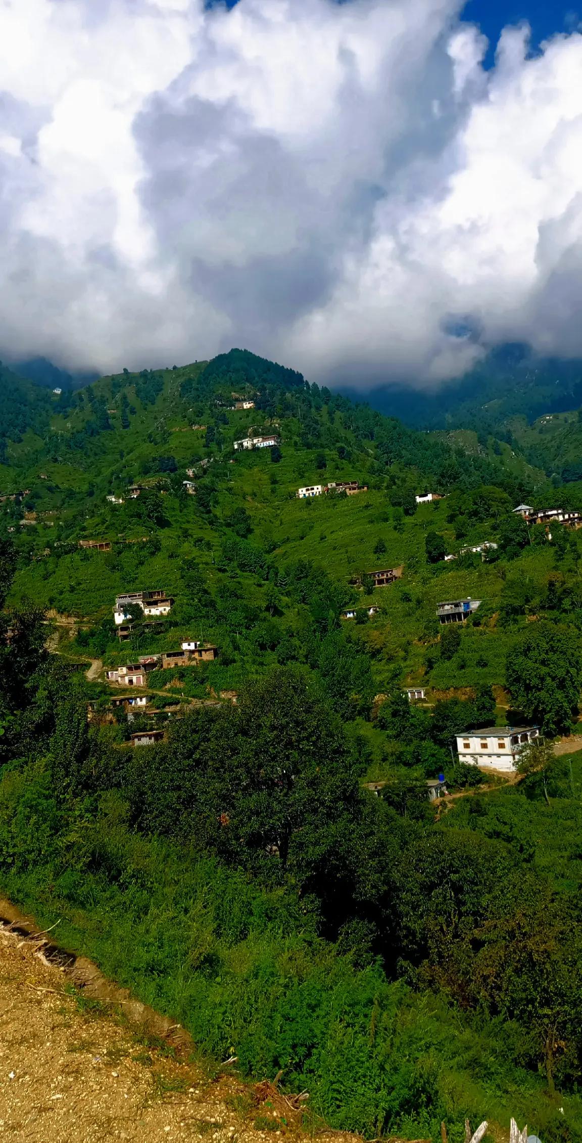 @🌲غر سنے 🌲