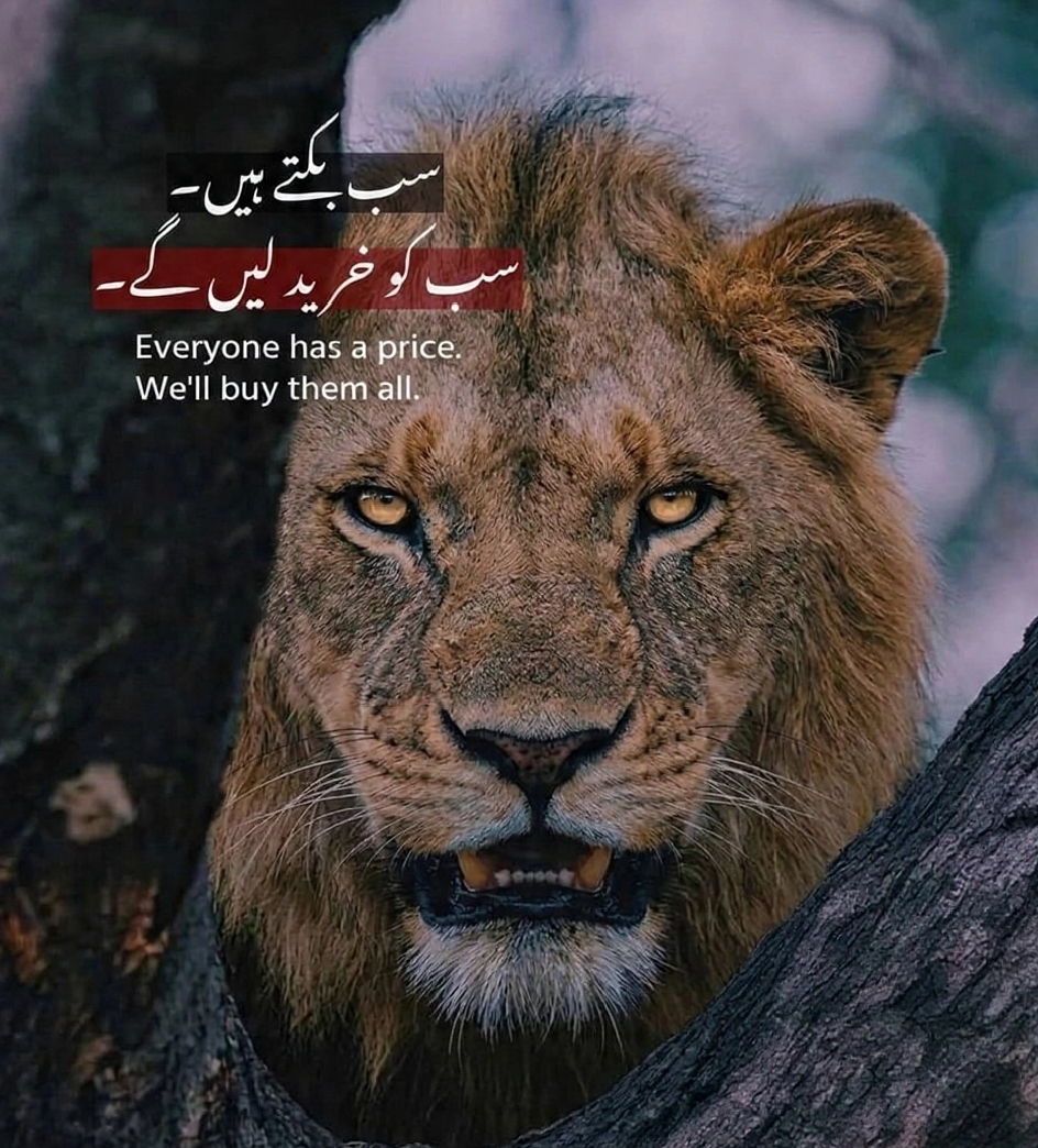 @👑 ناظم مغل واہنڈو آلہ 🔥