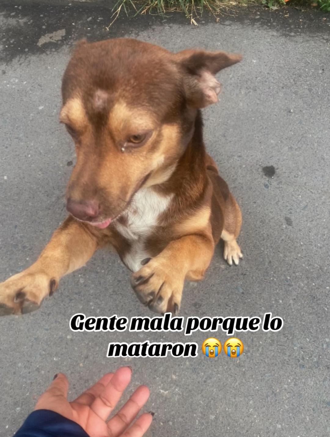@Lucy E....♥️🥰🫶🏻