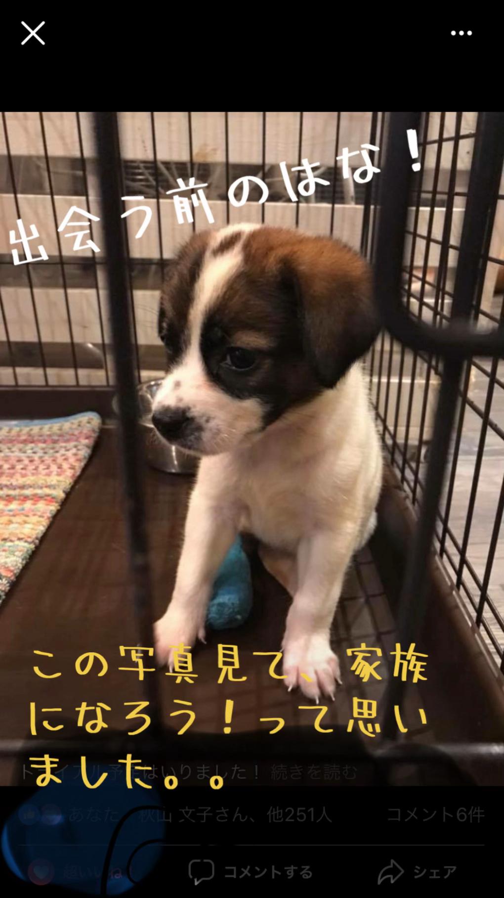 @てる