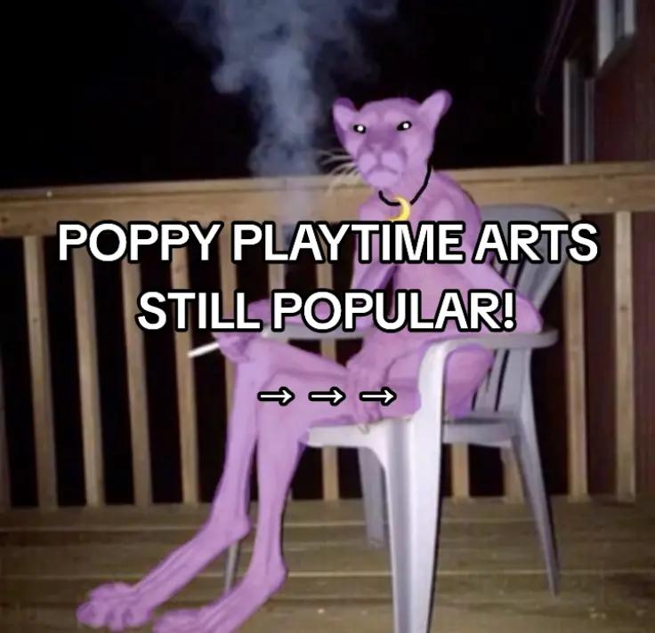 @Polly 👁️