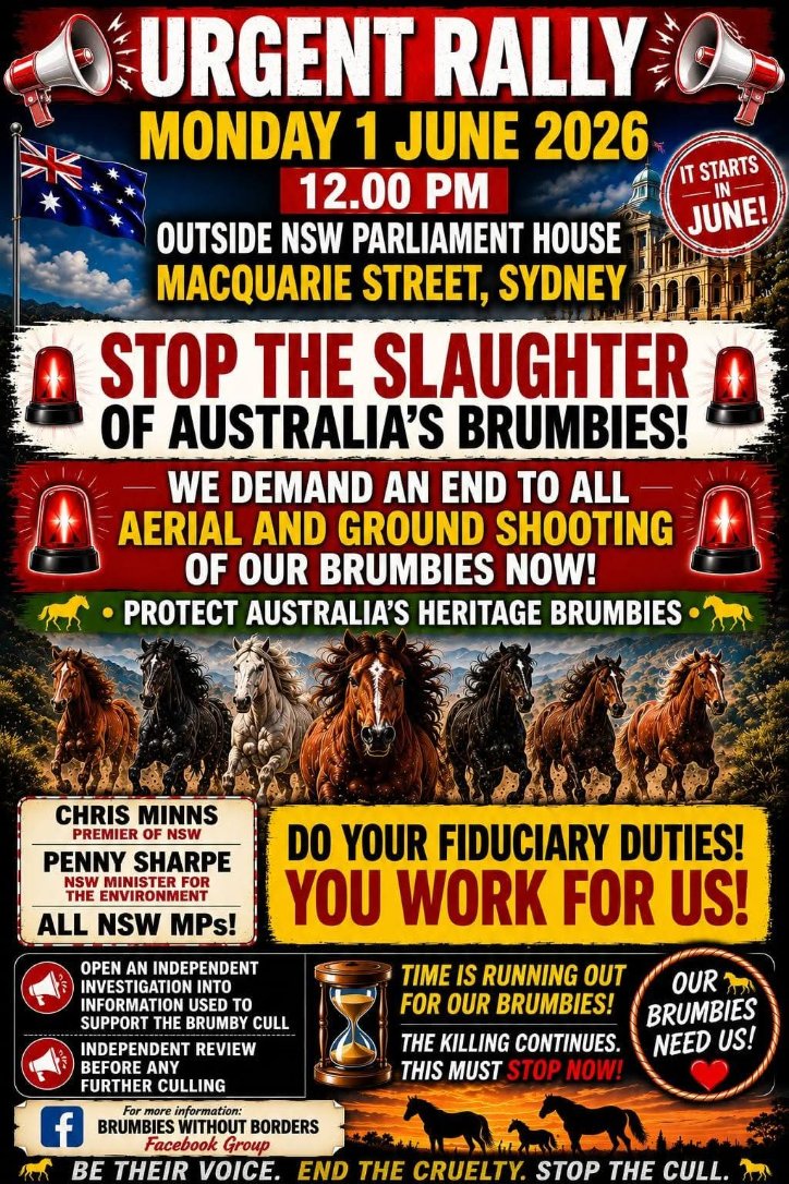 @SpiritBrendan2