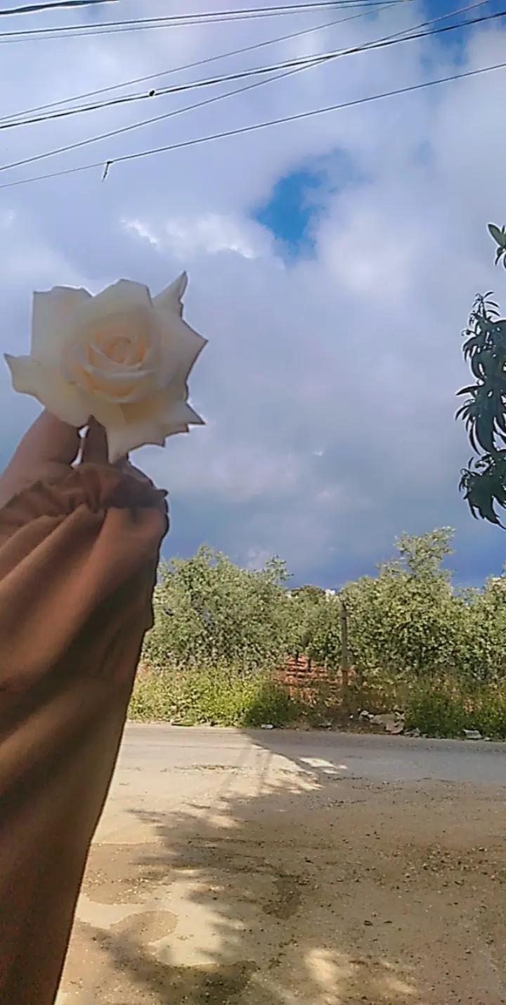 @عازفة الأمل
