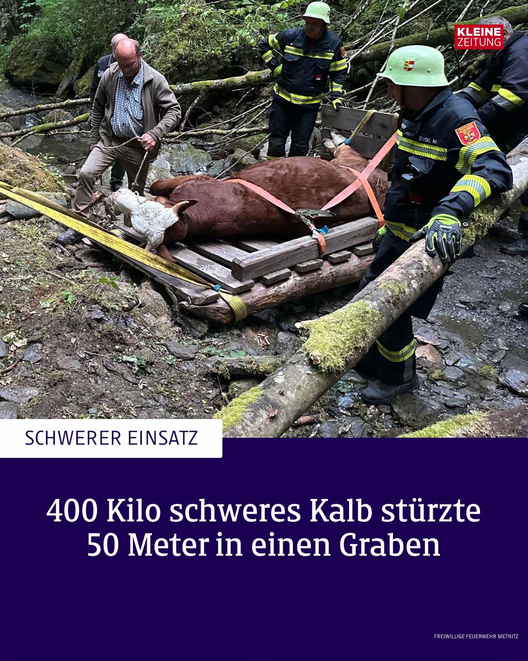 @Kleine Zeitung