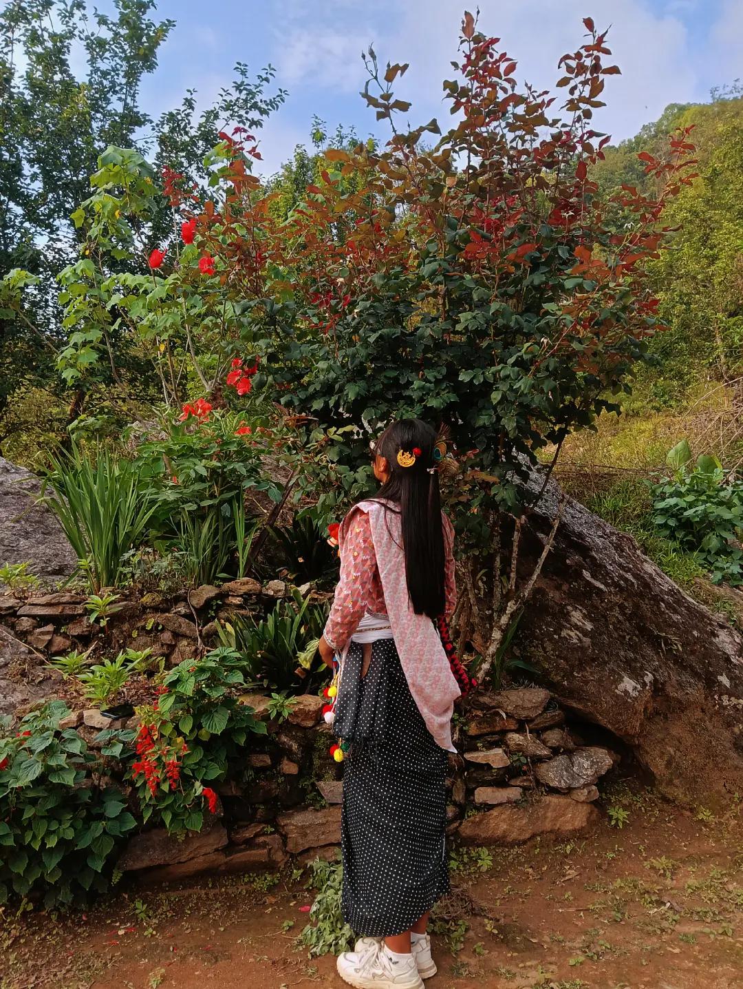 @Tungmaa