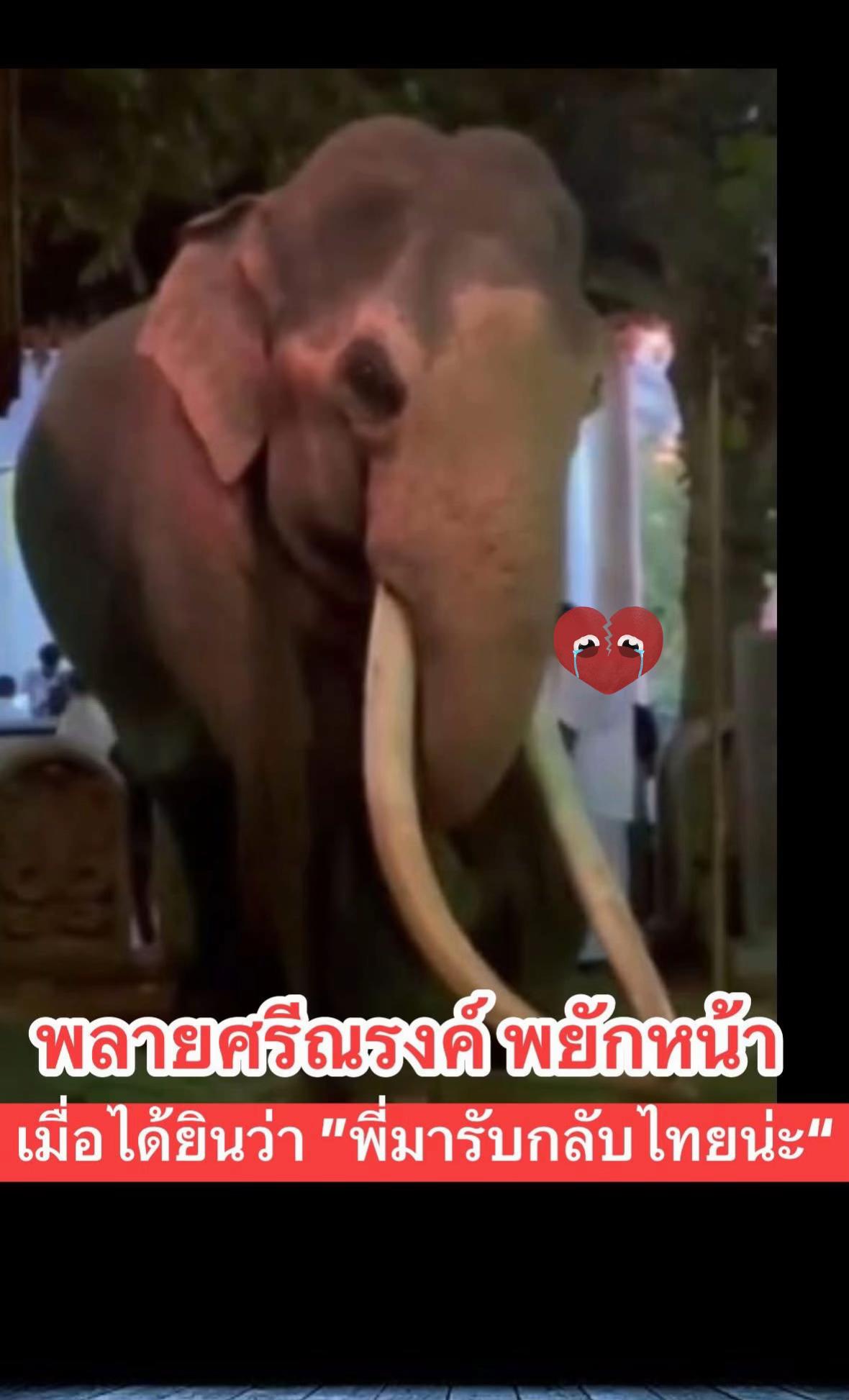@Animal lover🫶💕