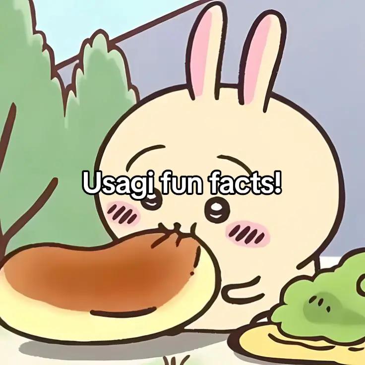 @⸝⸝ Bev ✦ 🐰🍮 // #0 Usagi fan