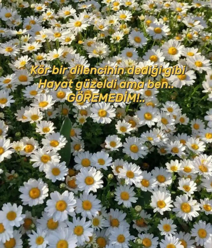 @Zübeyde karakaş 💜💙❤🩵