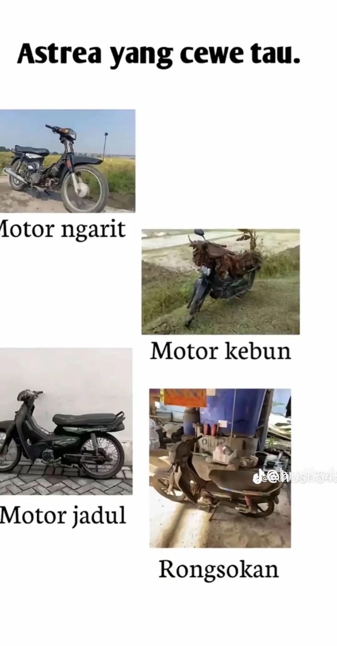 @𝐏𝐚𝐬𝐡𝐦𝐢𝐧𝐚𝐑𝐚𝐜𝐢𝐧𝐠_