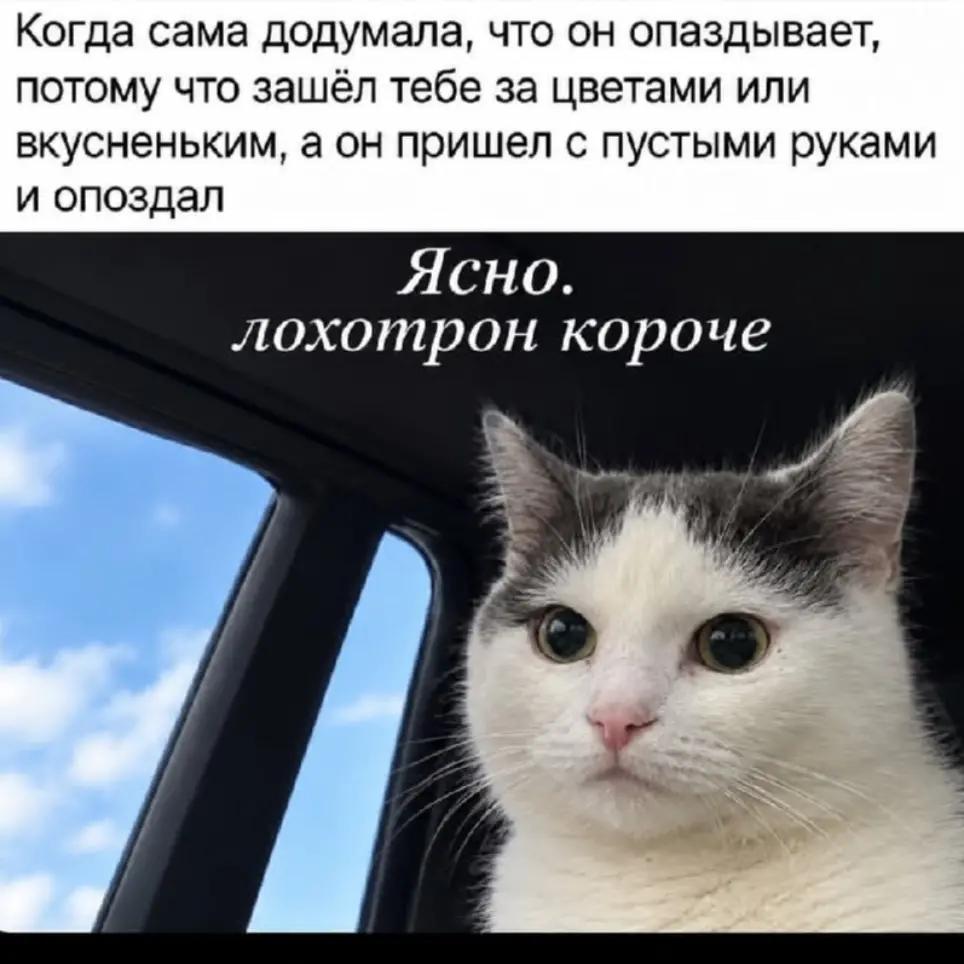 @любительница Audi ❤️