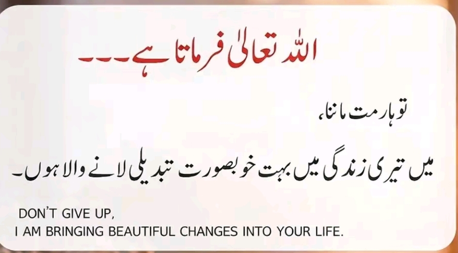 @Adeel CH