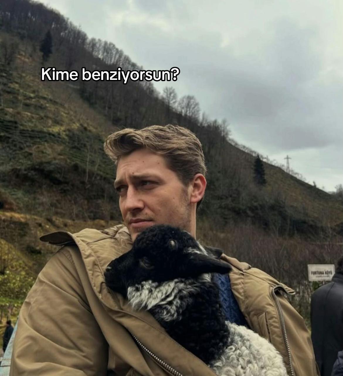 @asena