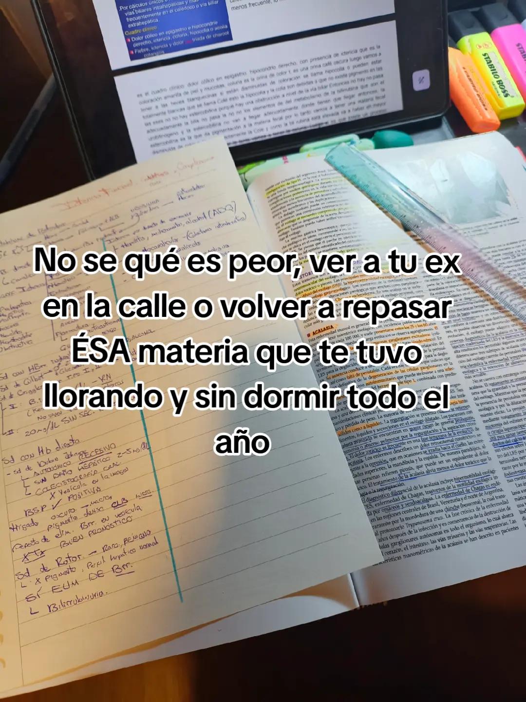 @Maite H Rojas