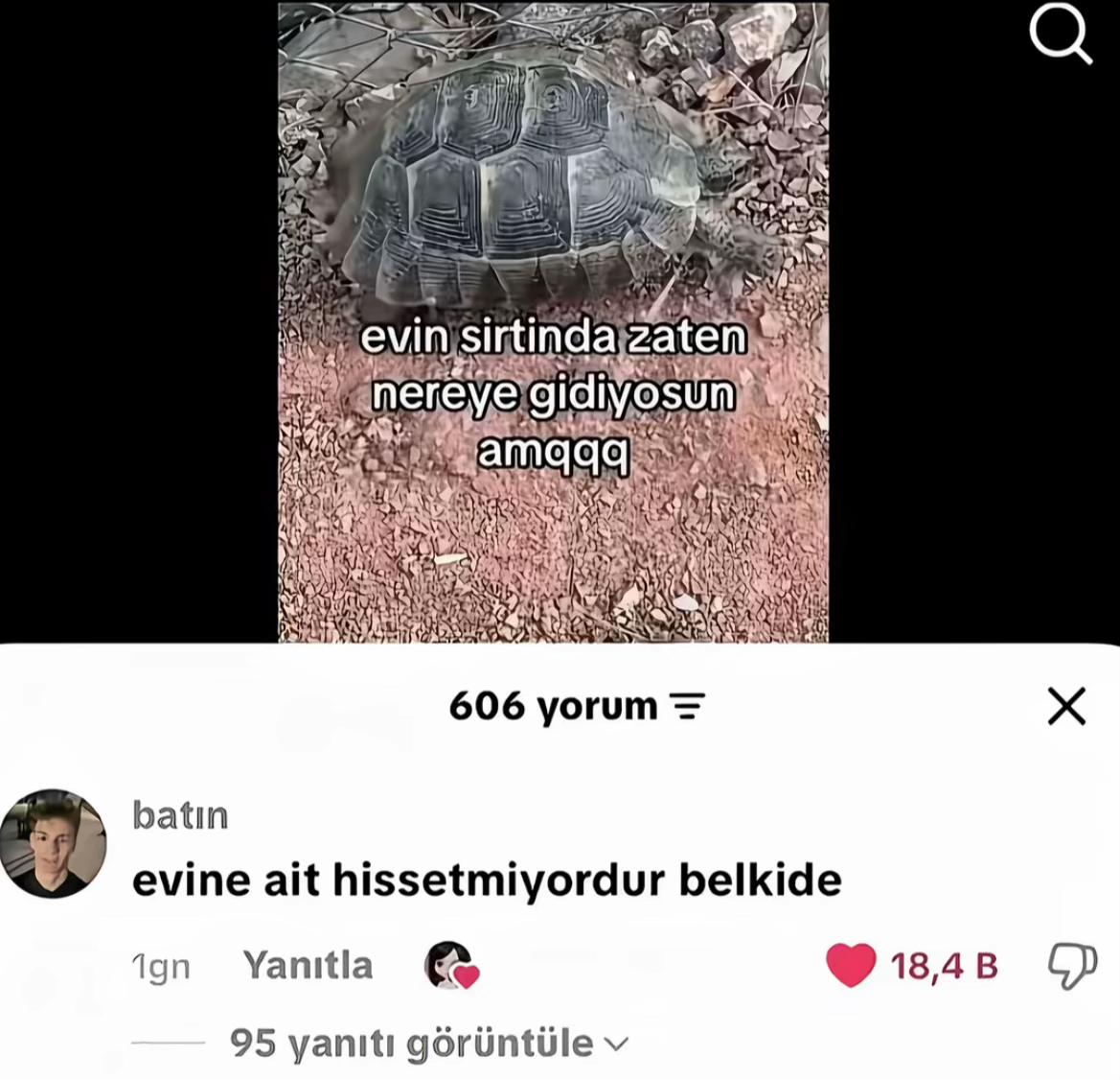 @Tuna