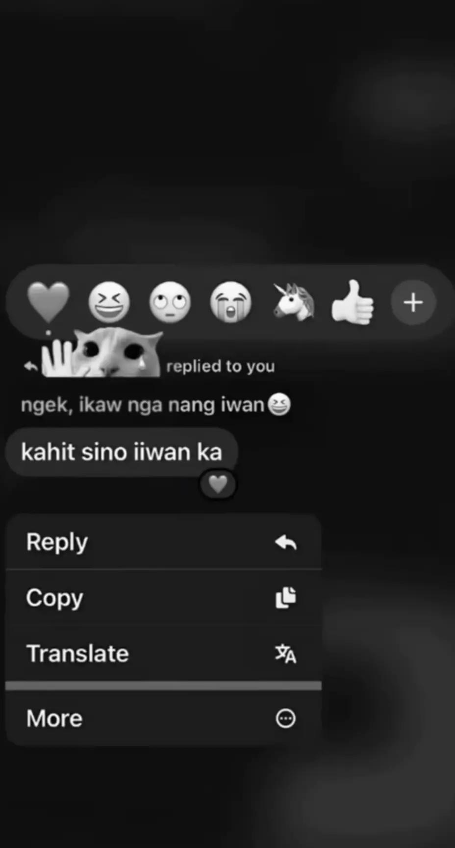 @xin~di