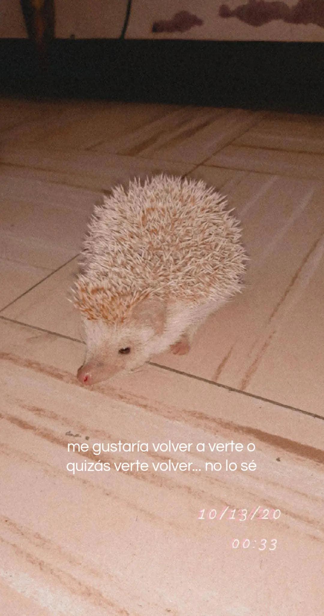 @Jennifer Almendra 🧸