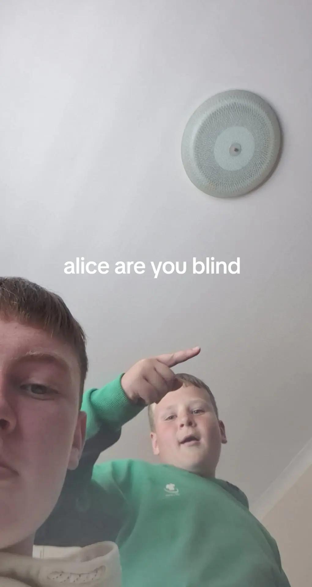 @adamryaner19