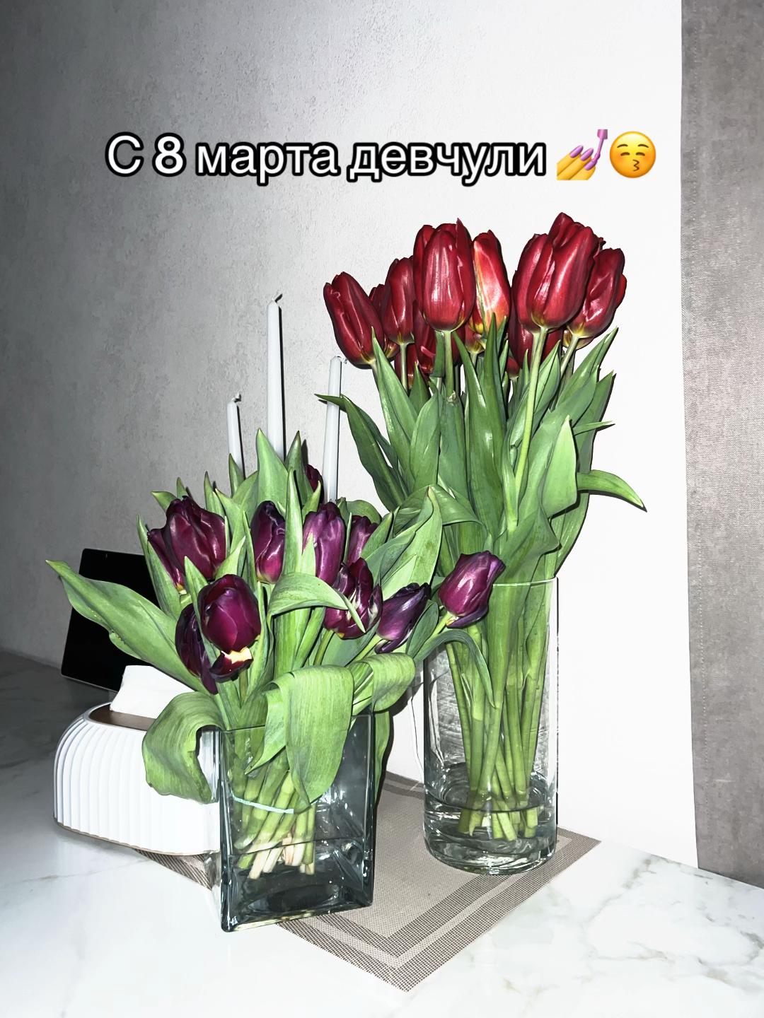 @Влада газ 😻