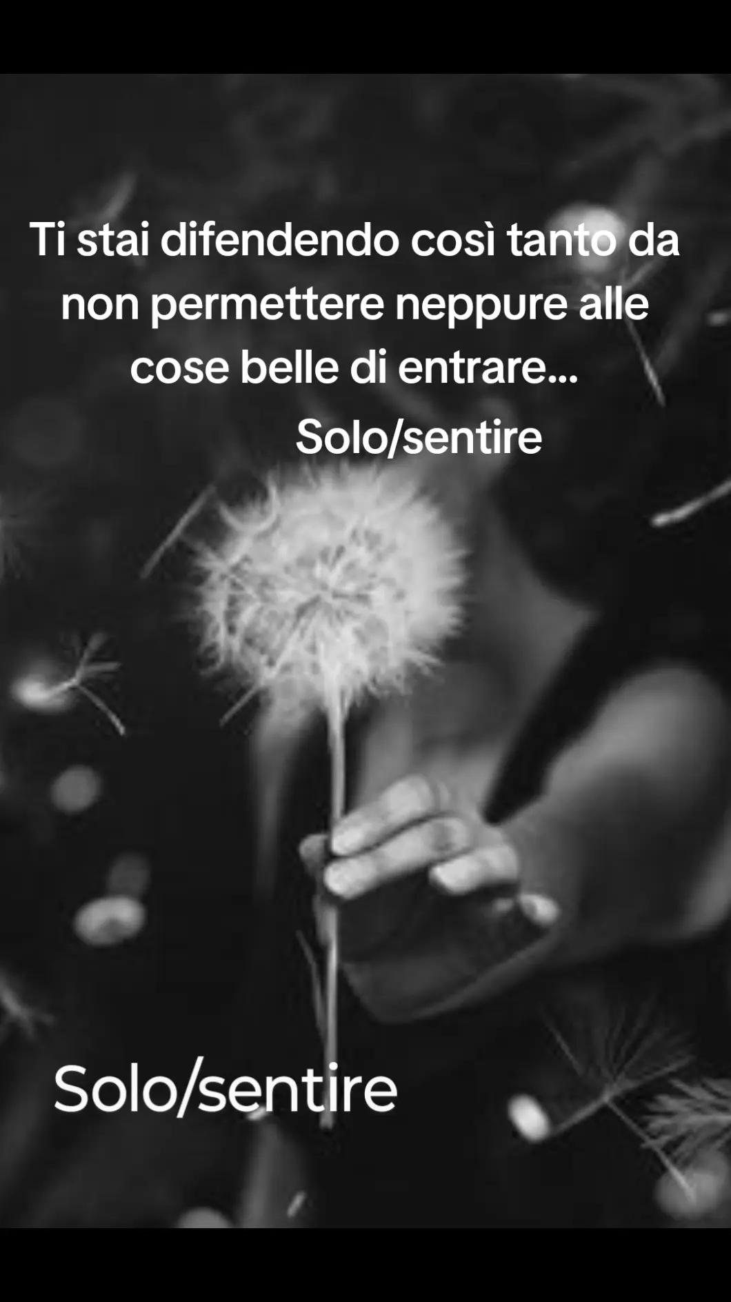 @solo/sentire