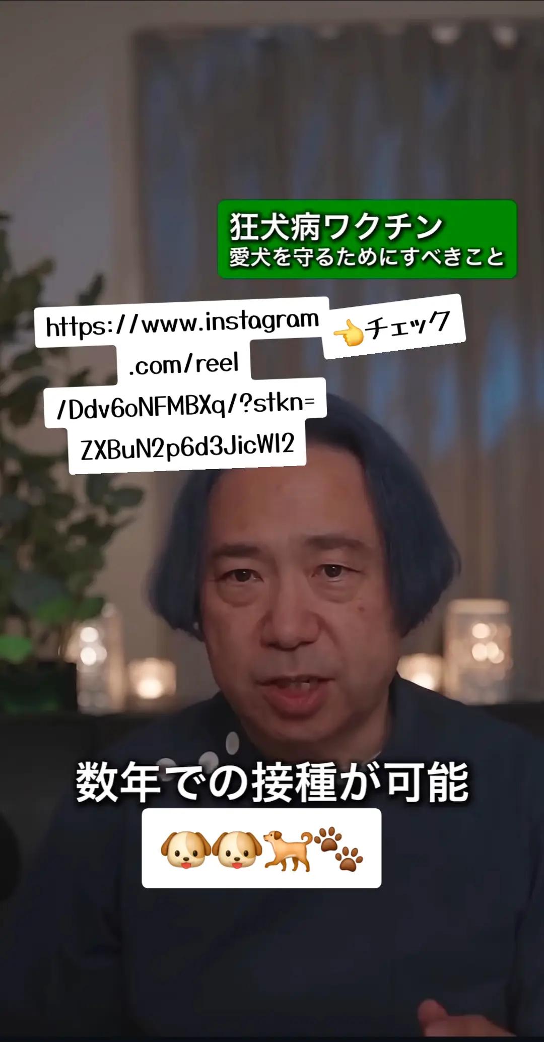 @✠アリゾナ〉ガレージ66ペイント𝒉𝒐𝒖𝒔𝒆✠