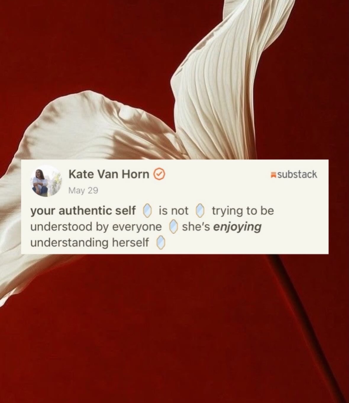 @Kate Van Horn