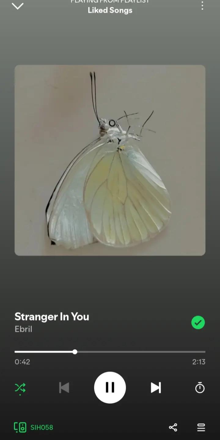 @SPOTIFY_GIRL