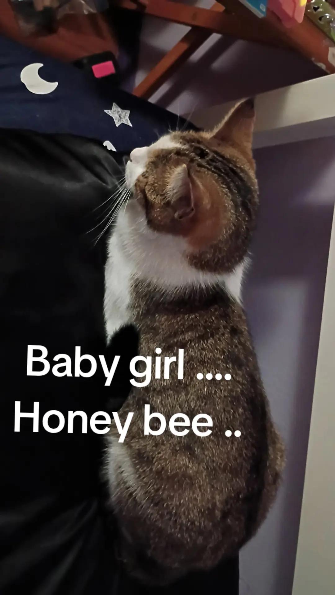 @(◕ᴗ◕✿)