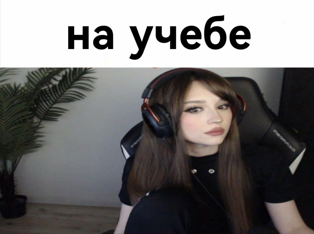 @бездарная кошка