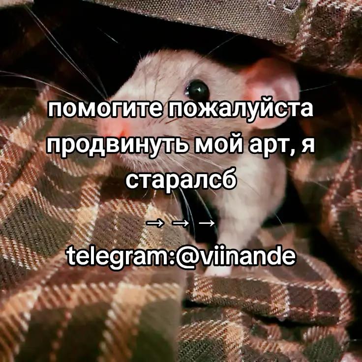 @ᴠɪɪɴᴀ