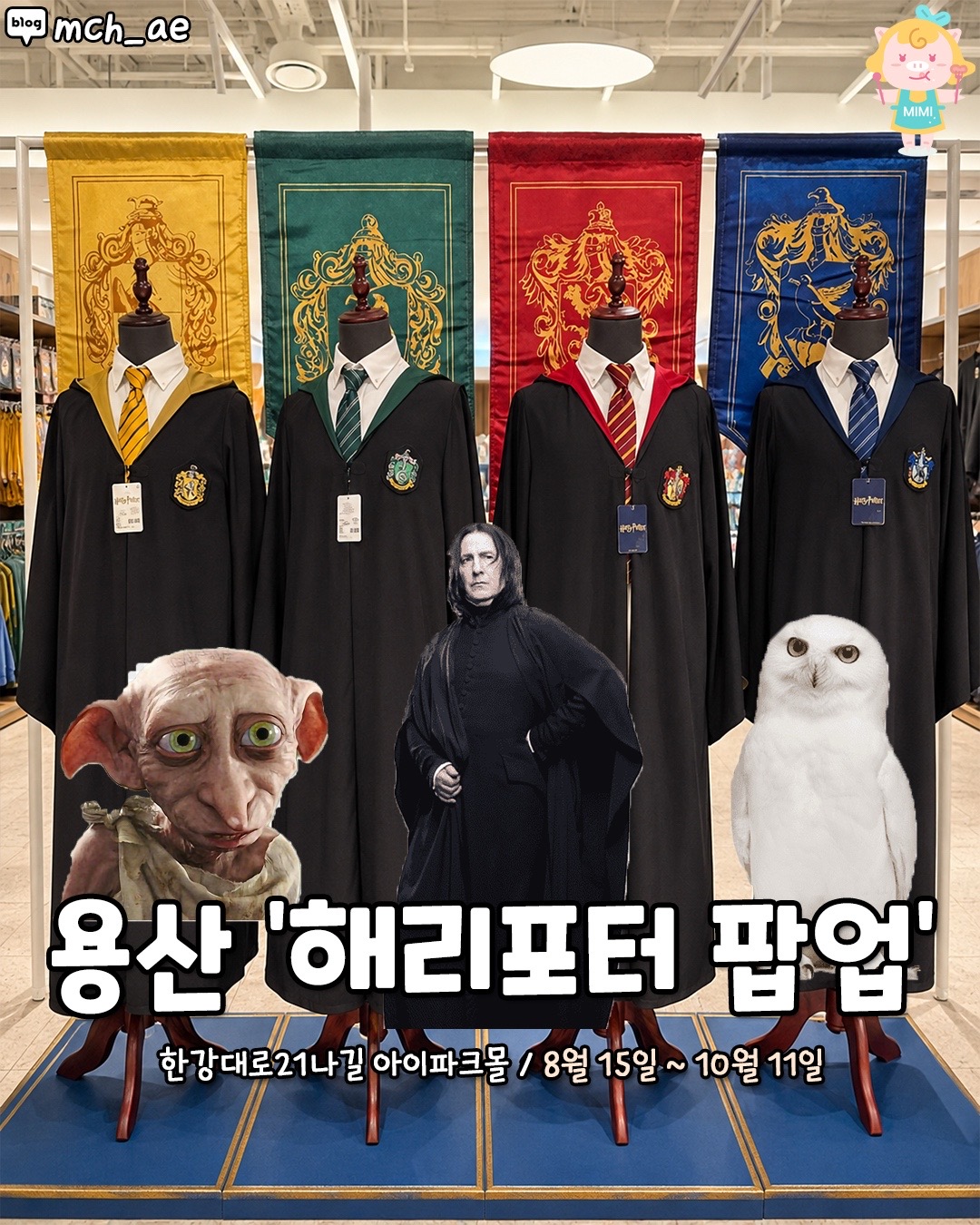 @서울핫플