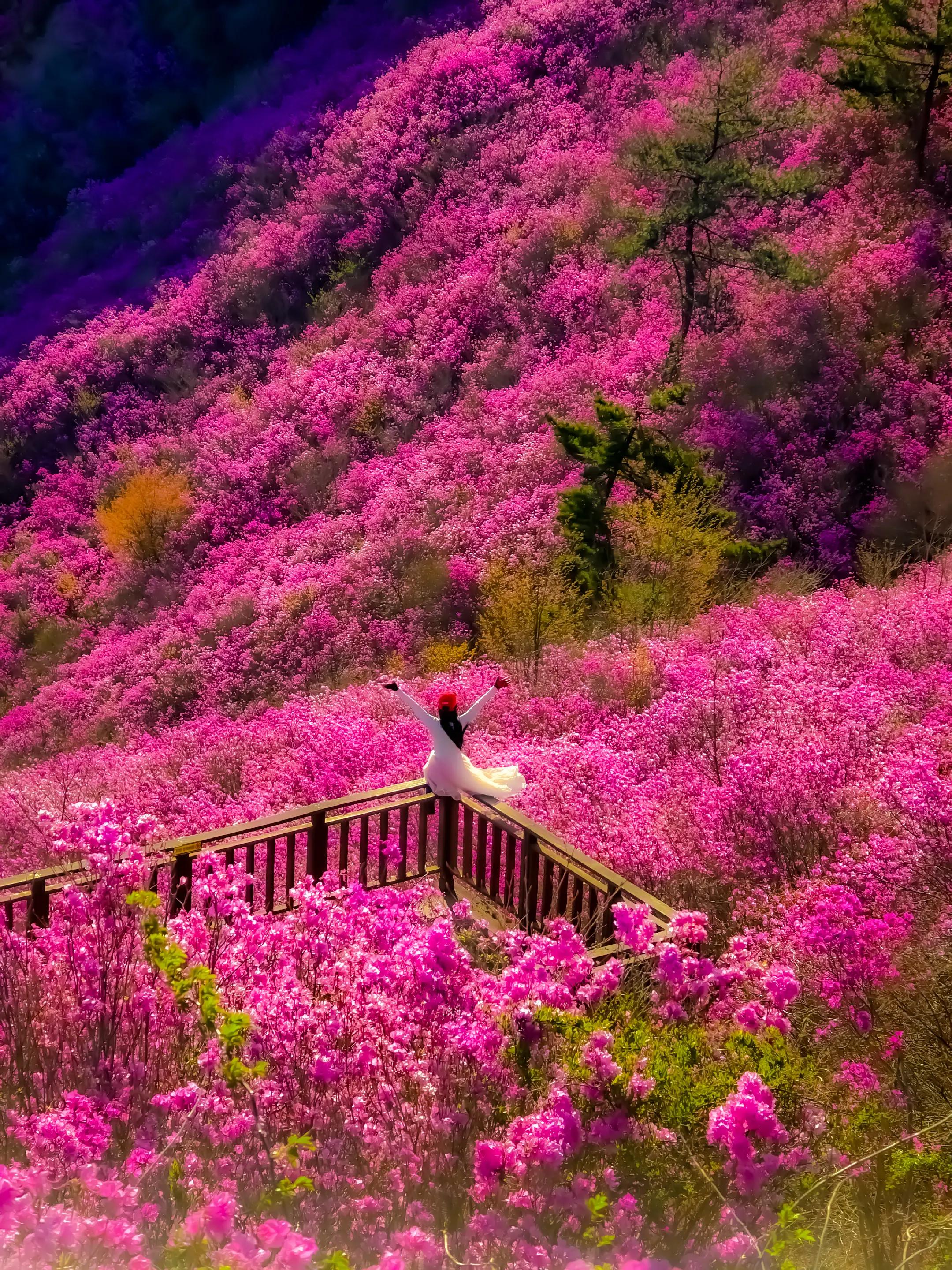 @sanmoolyeo