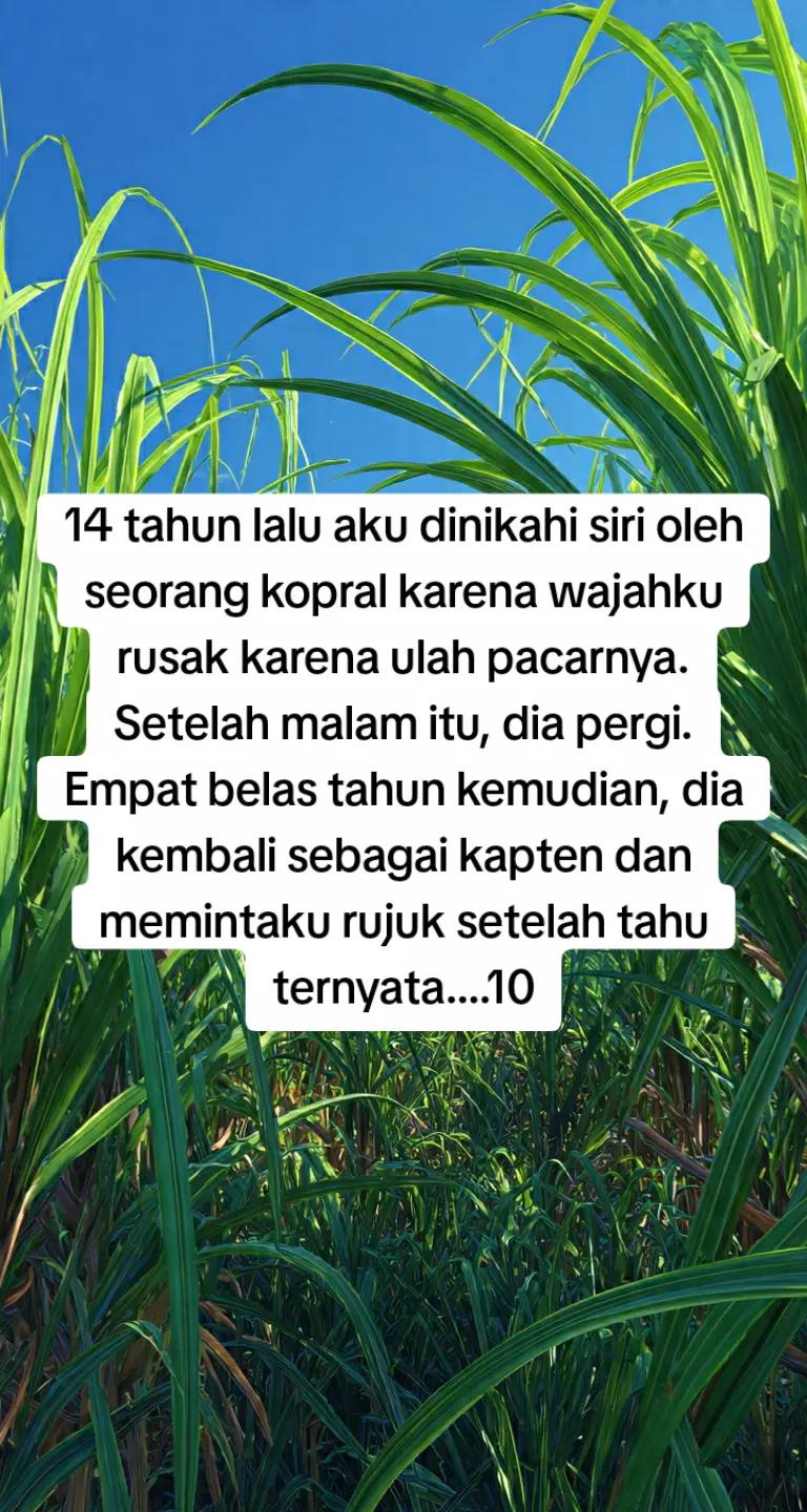 @Promosi Novel Online