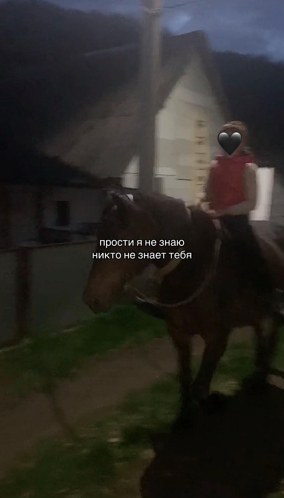 @тгк-Manix_zh