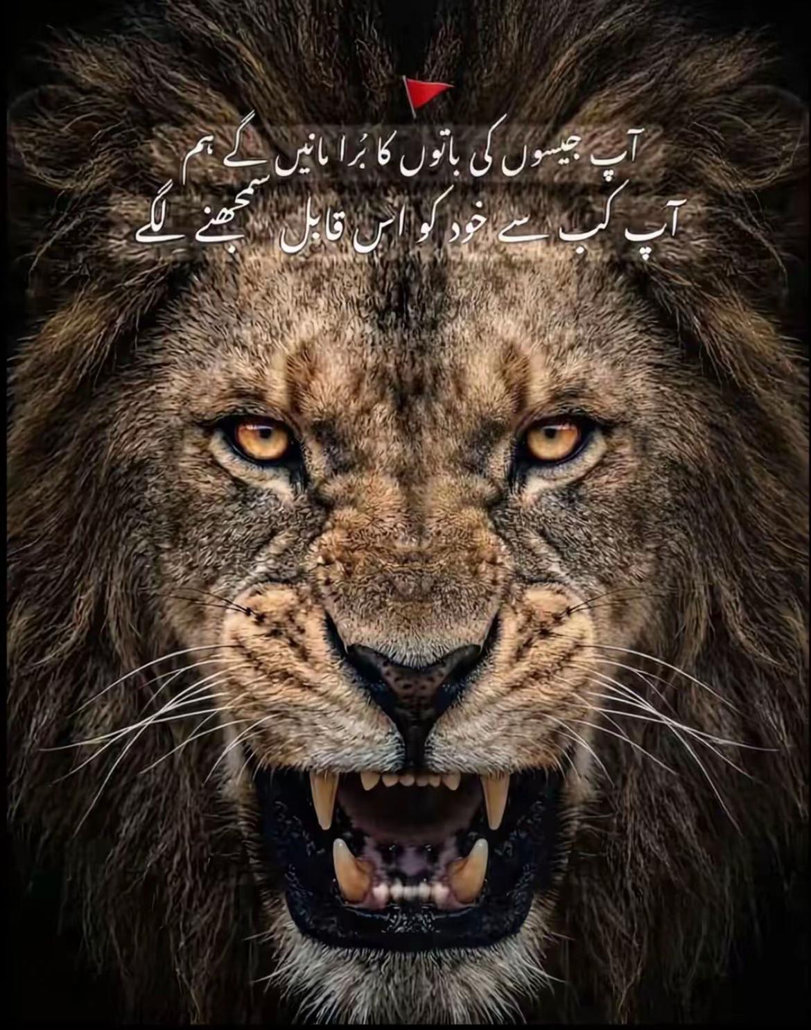 @Call me @mbarsariya🎭