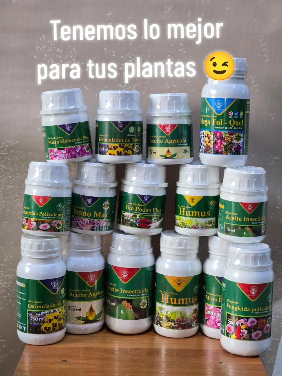 @MSJPLAST PERU