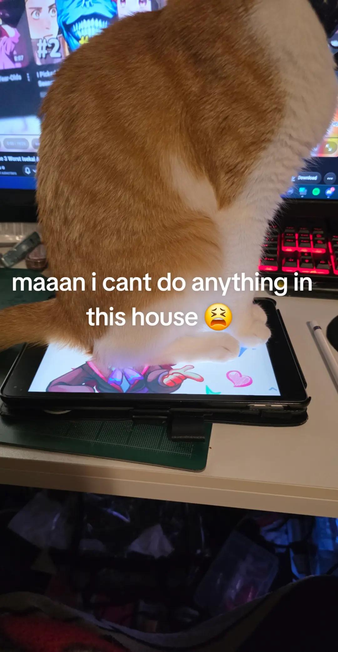 @Artommu