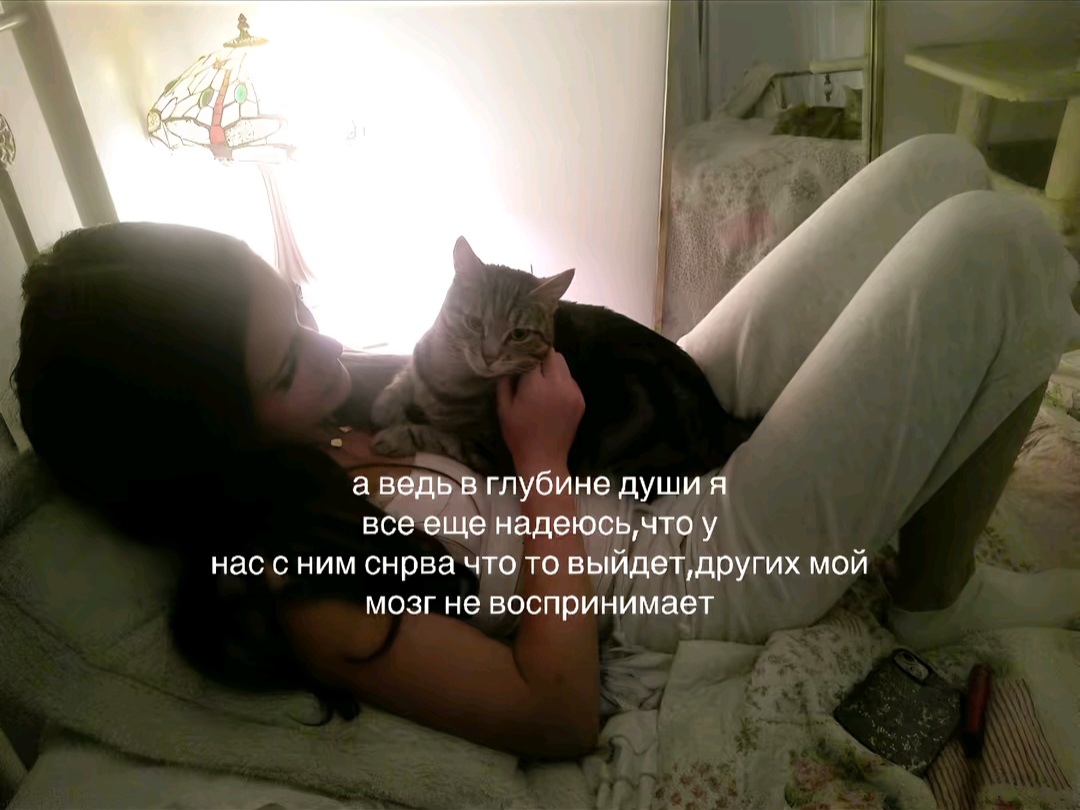 @🐈