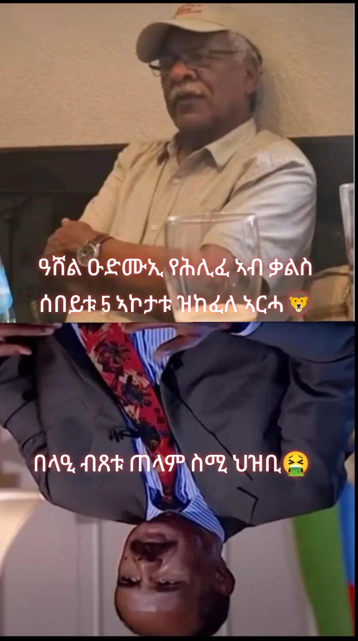 @ሕጋዊ ሓማዊ ወዱ ውጩ🦁🇪🇷👑