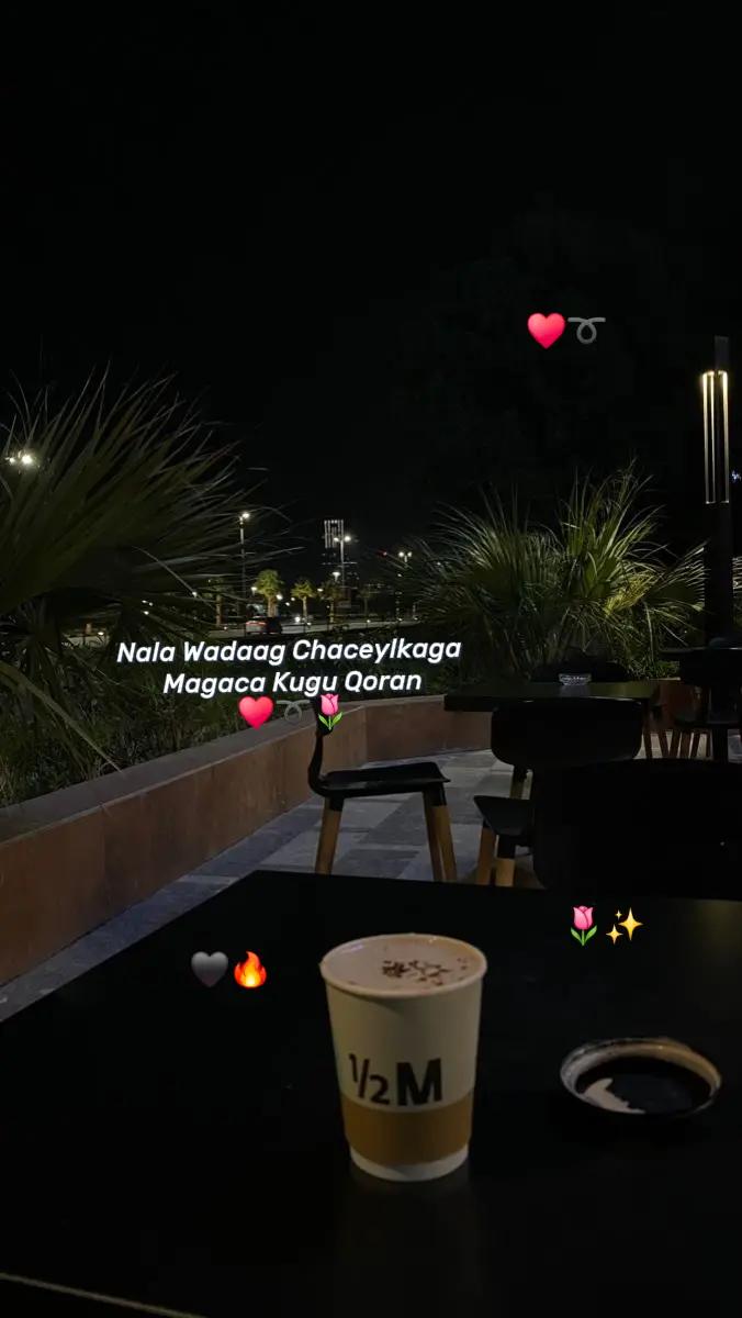 @MoHameTt🇩🇪