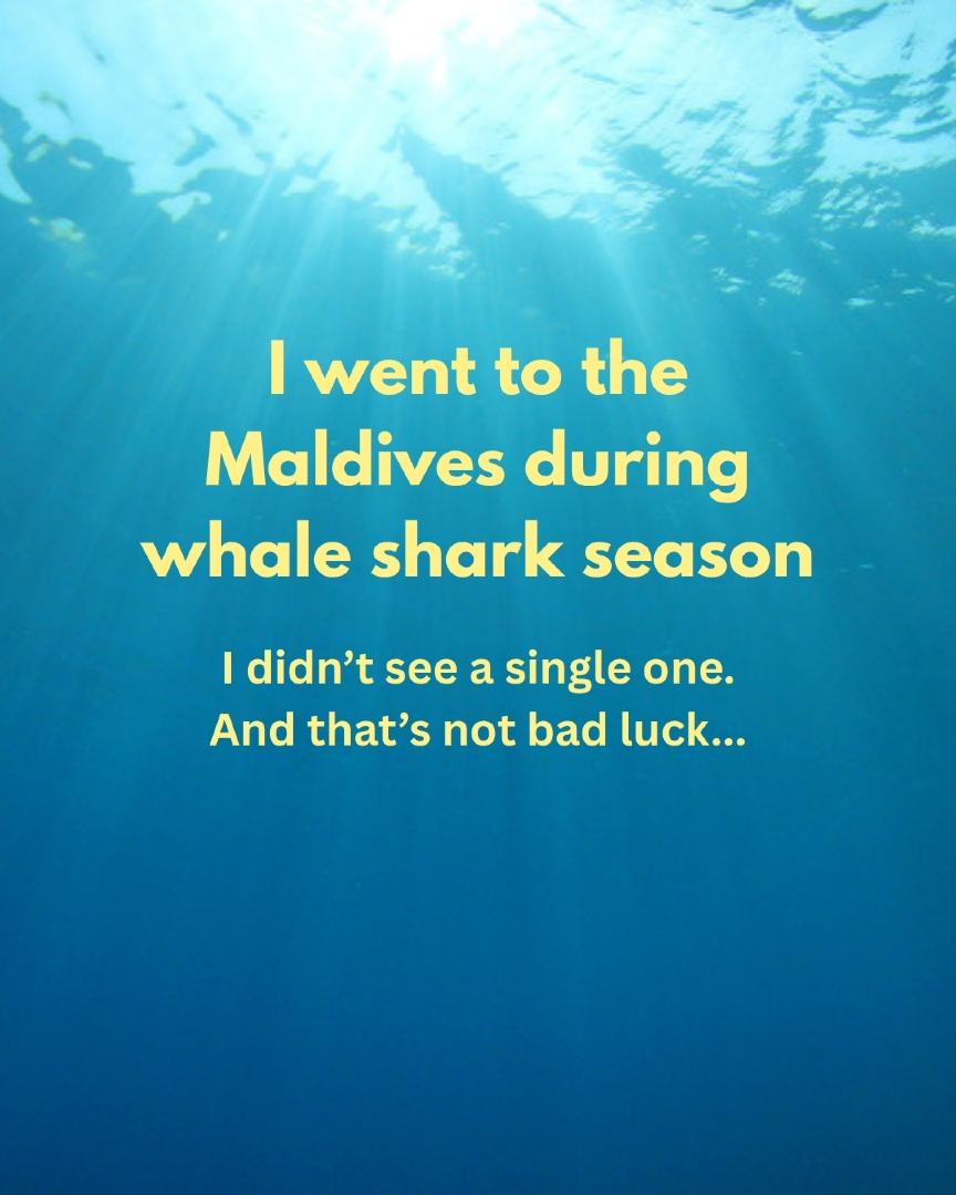 @The Dive Compass