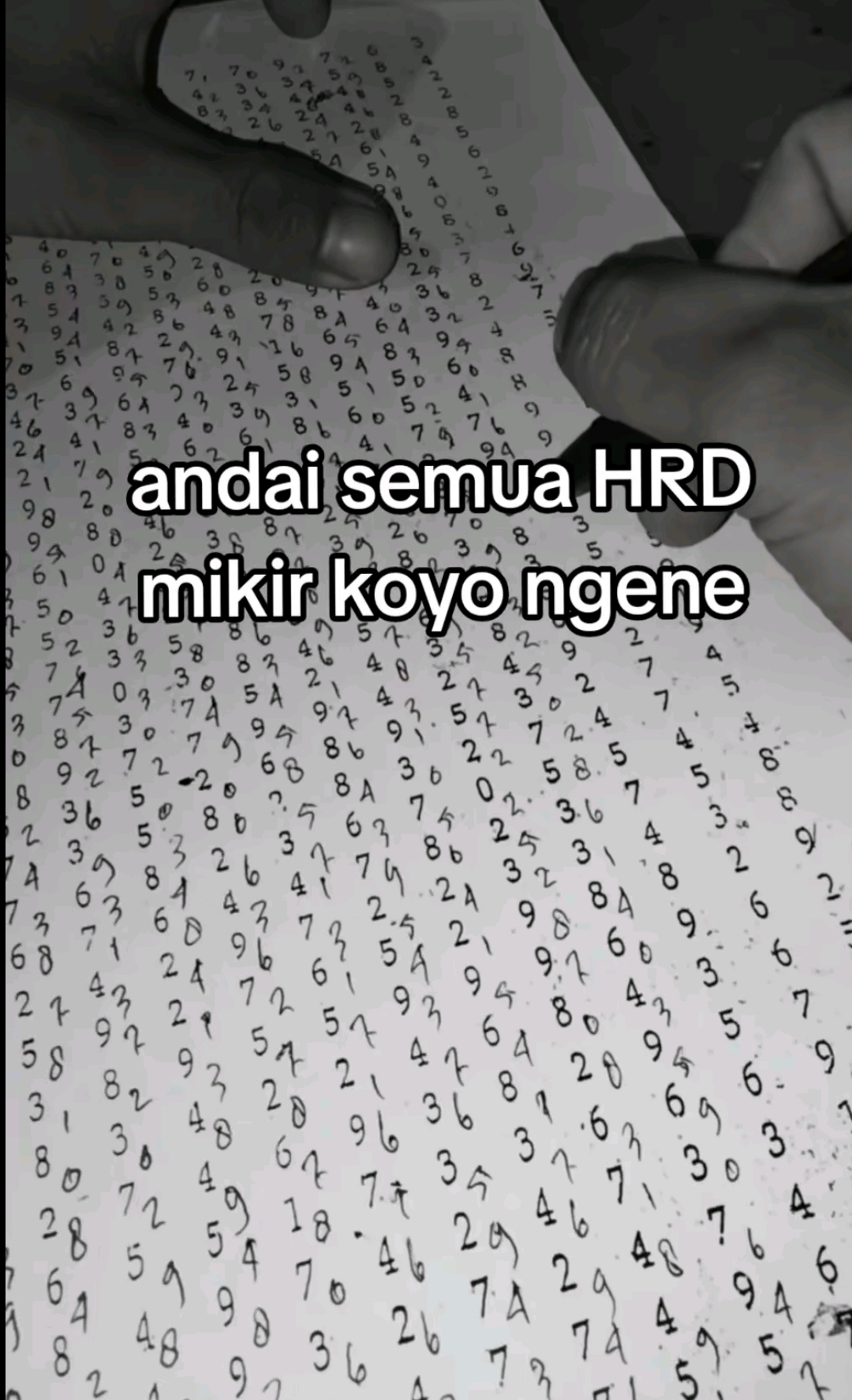 @CaloN Mayat×͜×